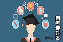 “市場營銷專業深度解析 擁抱變化的商業智慧者”,